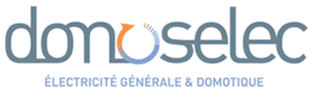 Logo Domoselec