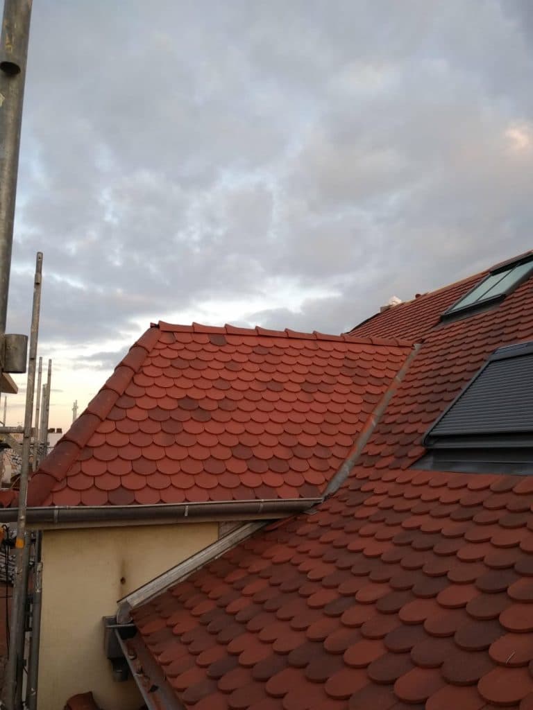 WhatsApp Image 2020 02 28 at 13.20.24 768x1024