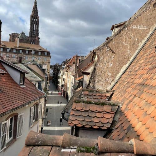 WhatsApp Image 2022 02 07 at 16.30.13 8 500x500