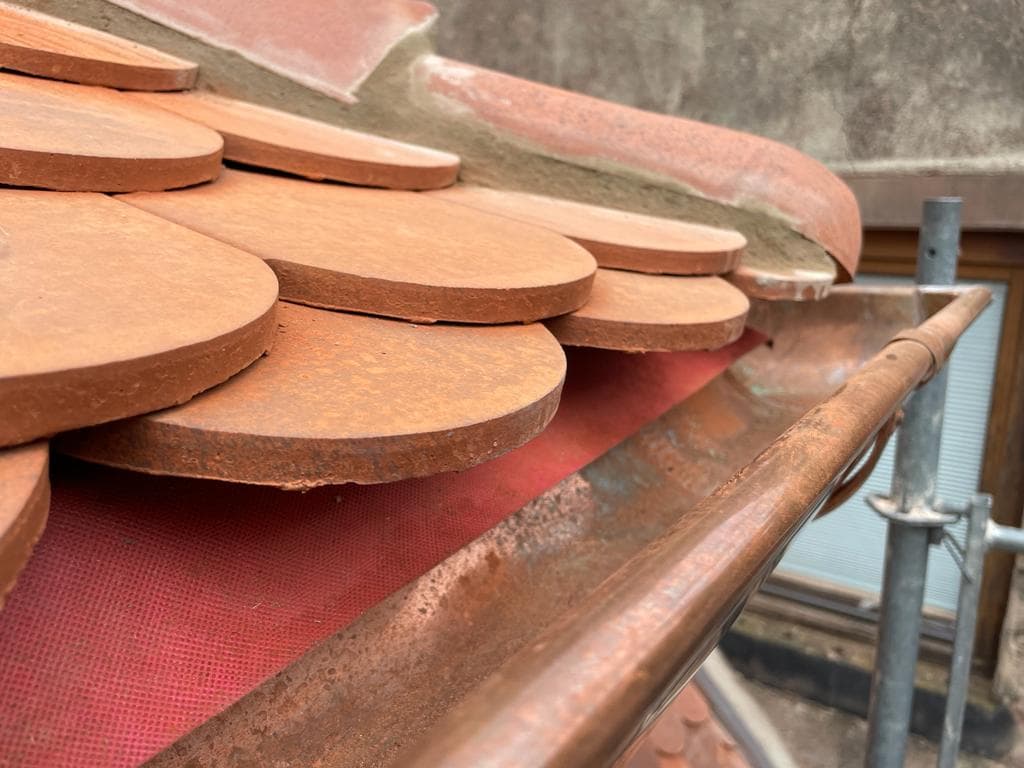 WhatsApp Image 2022 02 24 at 13.47.57 1