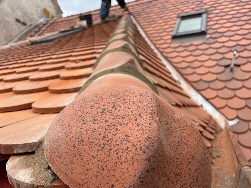 WhatsApp Image 2022 02 24 at 13.48.10